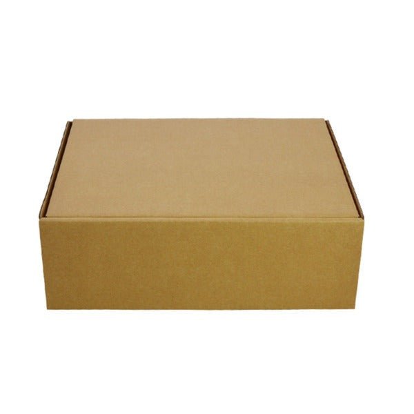 SAMPLE - B Flute - One Piece Postage & Mailing Box 6416 - Kraft Brown - PackQueen