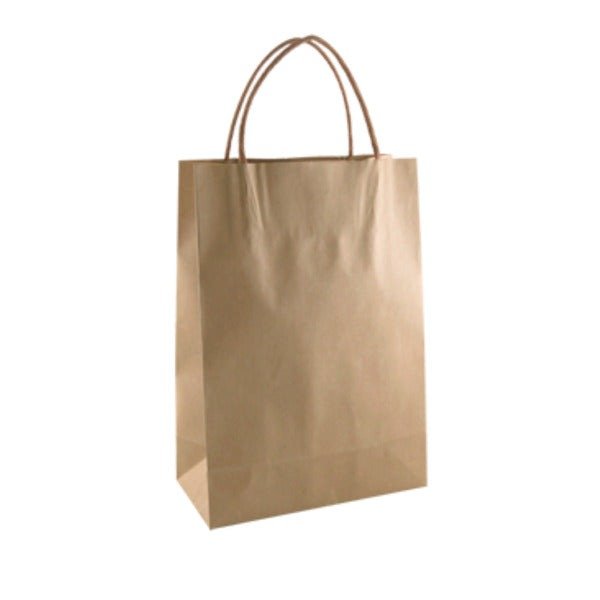SAMPLE - Brown Kraft Paper Gift Bag Junior - PackQueen