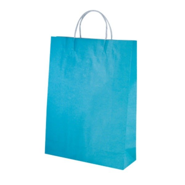 SAMPLE - Carnival Paper Gift Bag Midi - Blue - PackQueen