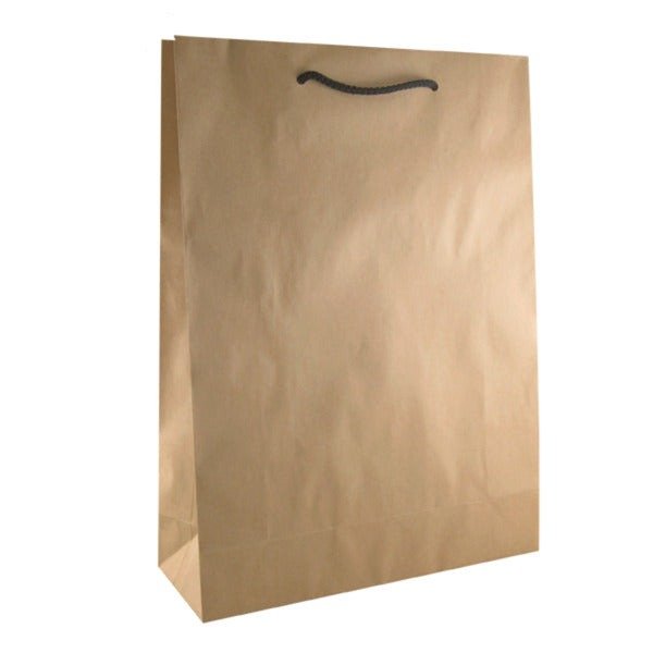 SAMPLE - Deluxe Brown Kraft Paper Gift Bag Medium - PackQueen