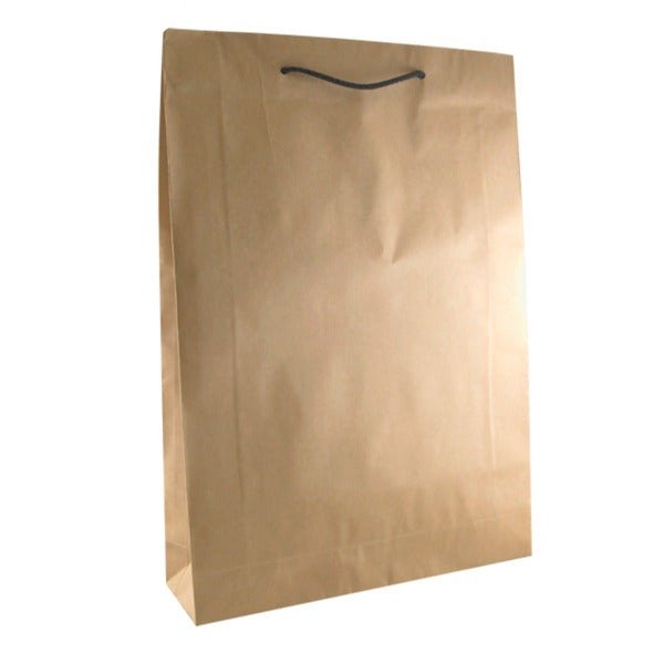 SAMPLE - Deluxe Brown Kraft Paper Gift Bag Small - PackQueen