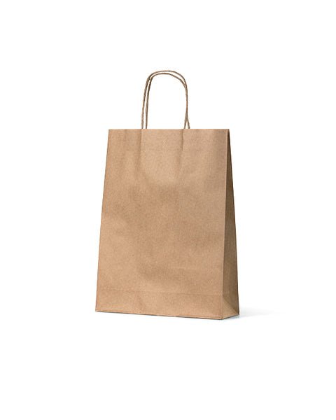 Small Brown Kraft Paper Gift Bag - 250 PACK - PackQueen