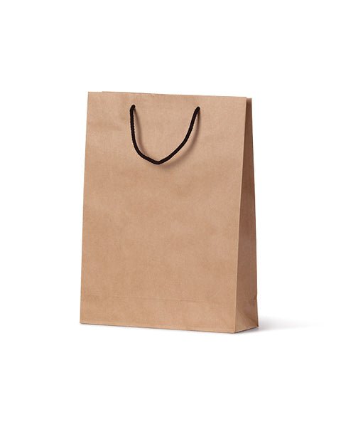 Small Deluxe Brown Kraft Paper Gift Bag - 250 PACK - PackQueen