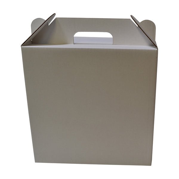 Surprise Delivery Box Large 8674 - PackQueen