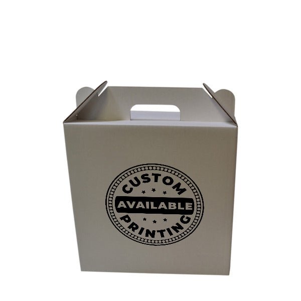 Surprise Delivery Box Large 8674 - PackQueen