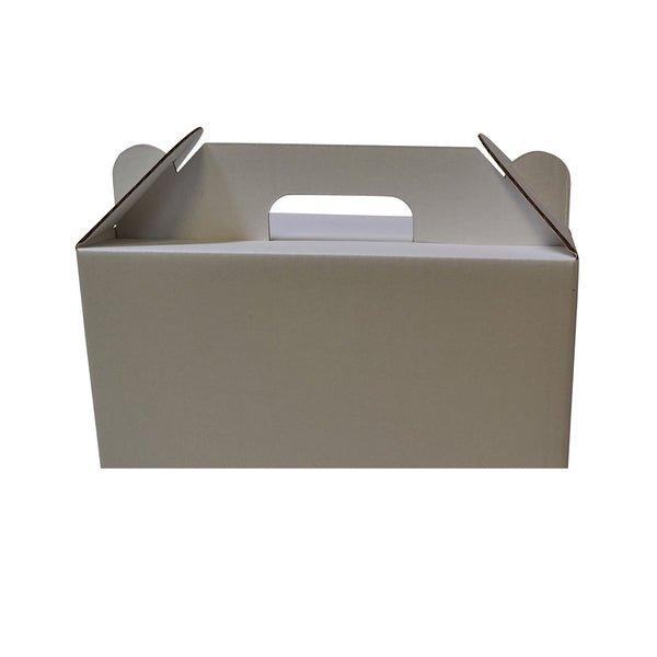 Surprise Delivery Box Small 8671 - PackQueen