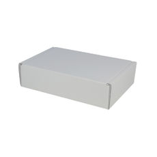 One Piece Postage & Mailing Box 15905 - Kraft White (White Inside) (MTO)