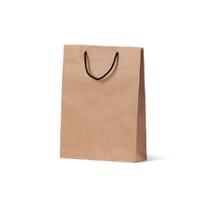 Small Deluxe Brown Kraft Paper Gift Bag - 250 PACK