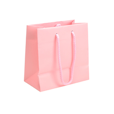 Matt Pastel Pink - Plain Gift BagRecycled Brown