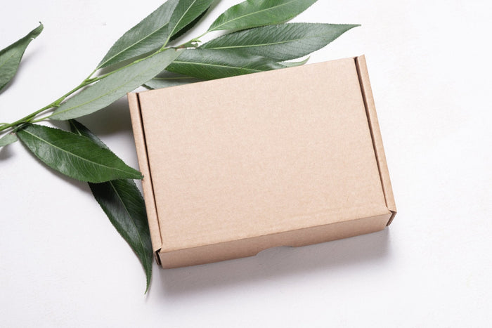 Eco-Friendly Packaging 101: A Beginner’s Guide for Businesses - PackQueen
