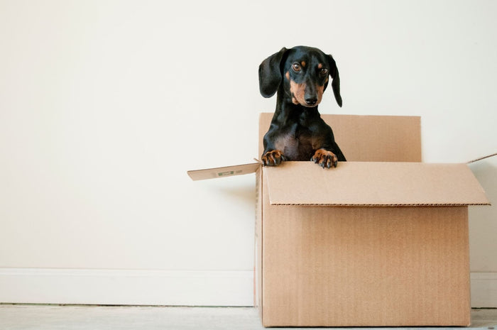 How to Correctly Pack a Box for Shipping - PackQueen