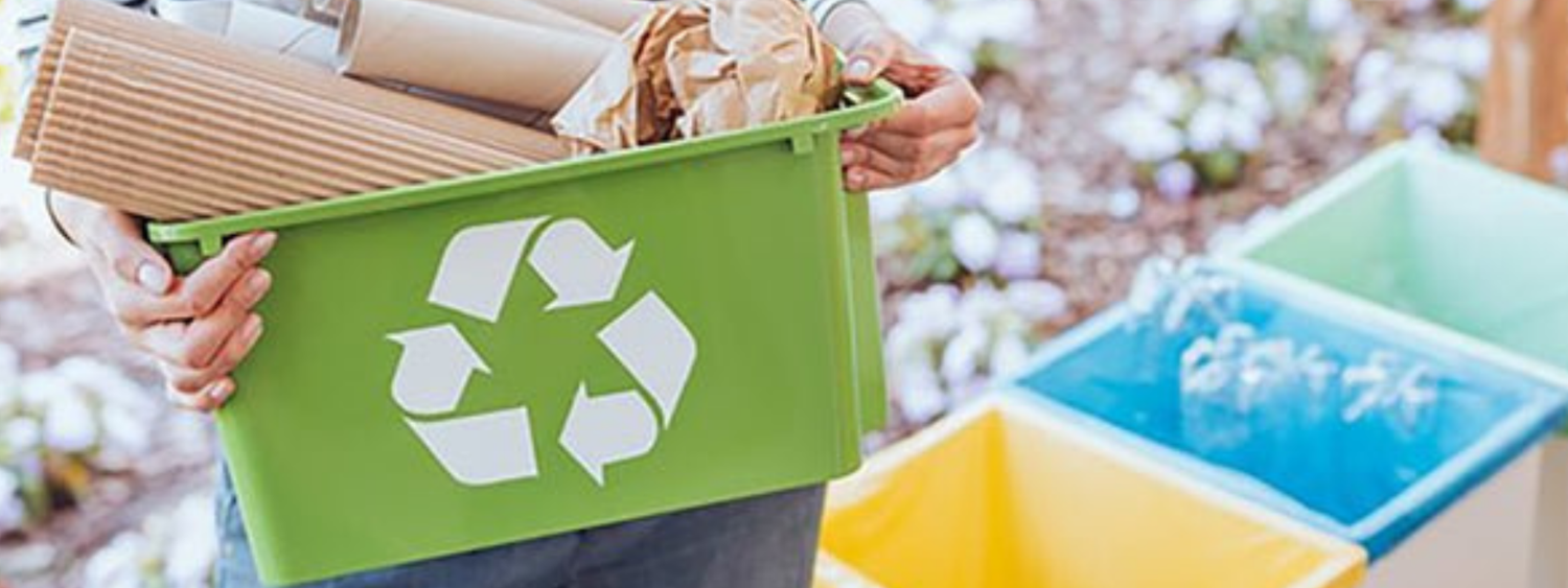 Sustainable Packaging: What is Eco-Friendly Packaging? - PackQueen