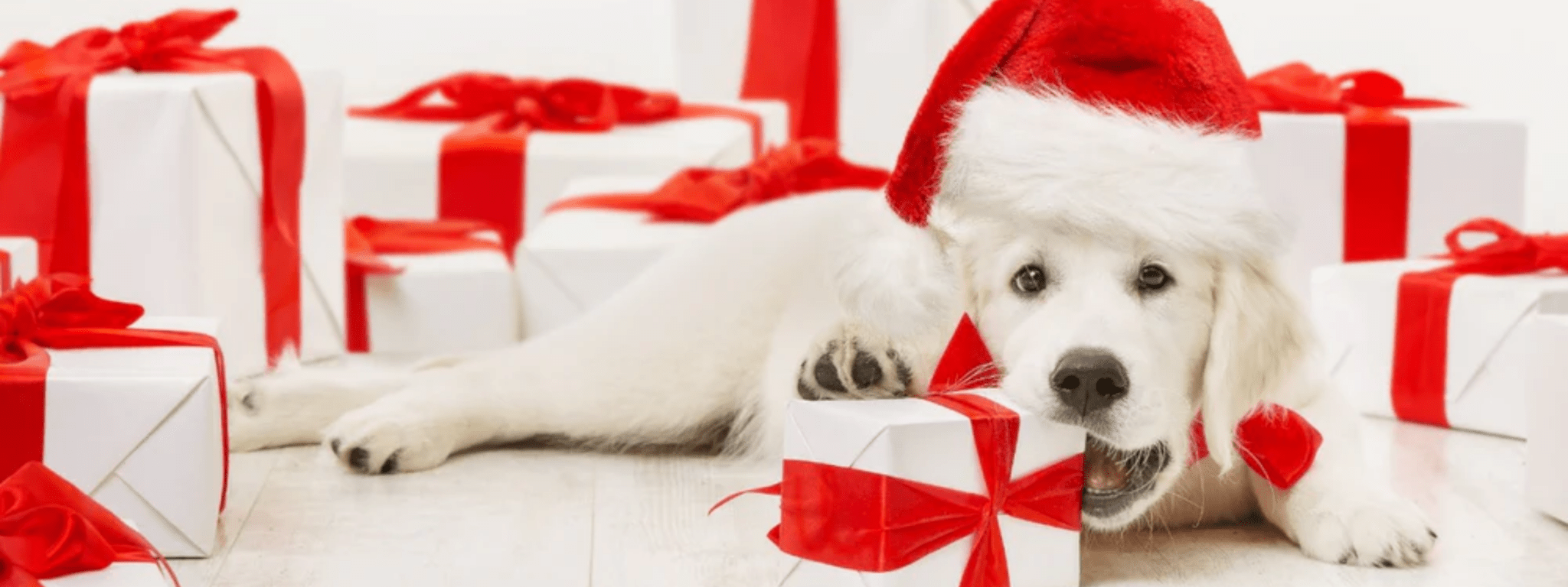 Christmas Gift Boxes - PackQueen