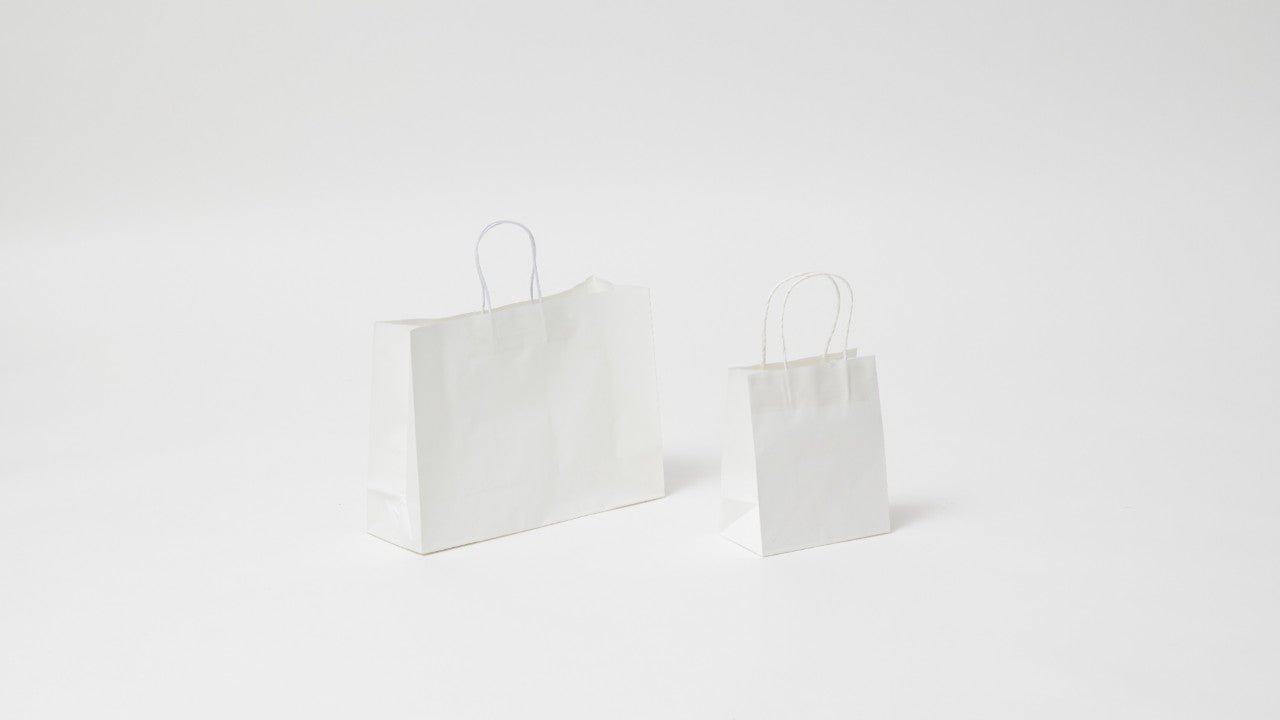 Kraft White Paper Gift Bags - PackQueen