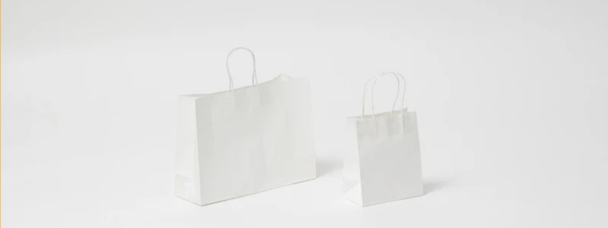 Kraft White Paper Gift Bags