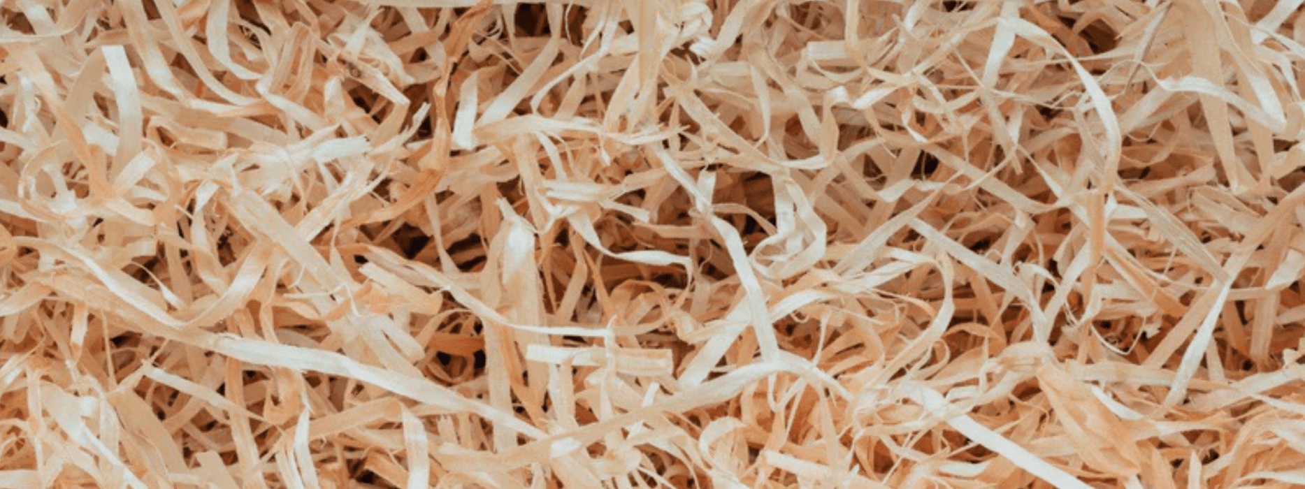 Packaging Filler