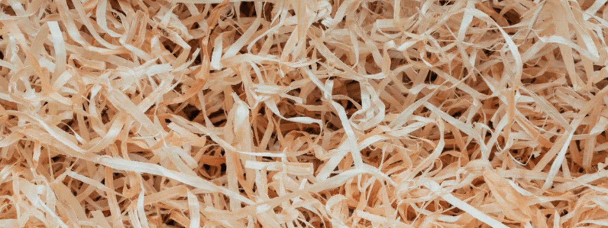 Packaging Filler - PackQueen