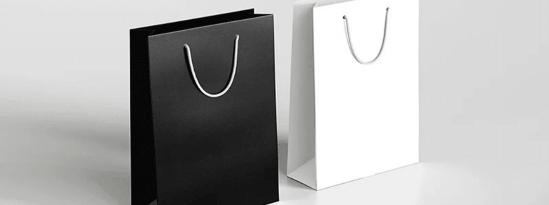 Premium Laminated Gift Bags