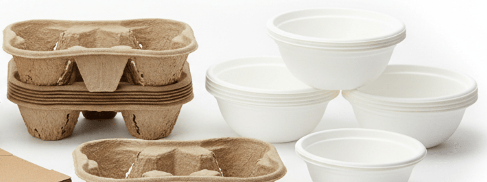 Takeaway Trays & Bowls - PackQueen