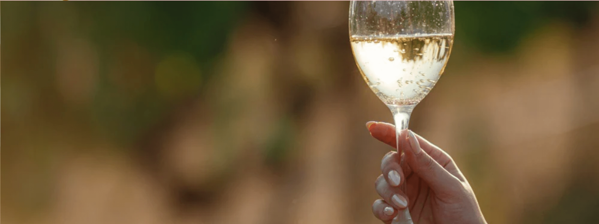White Wine - Single Glass - PackQueen