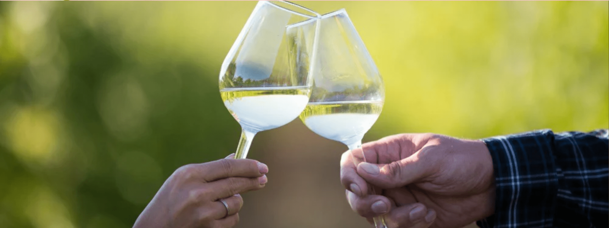 White Wine - Two Glasses - PackQueen
