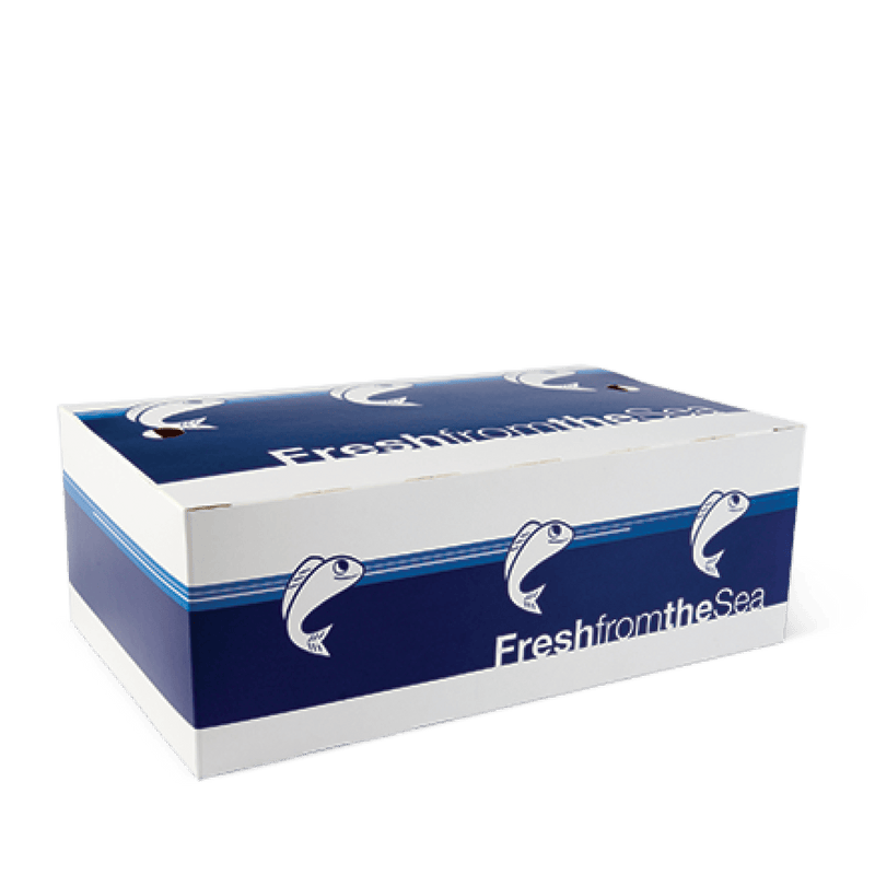 FISH & CHIP BOXES - Assorted Sizes