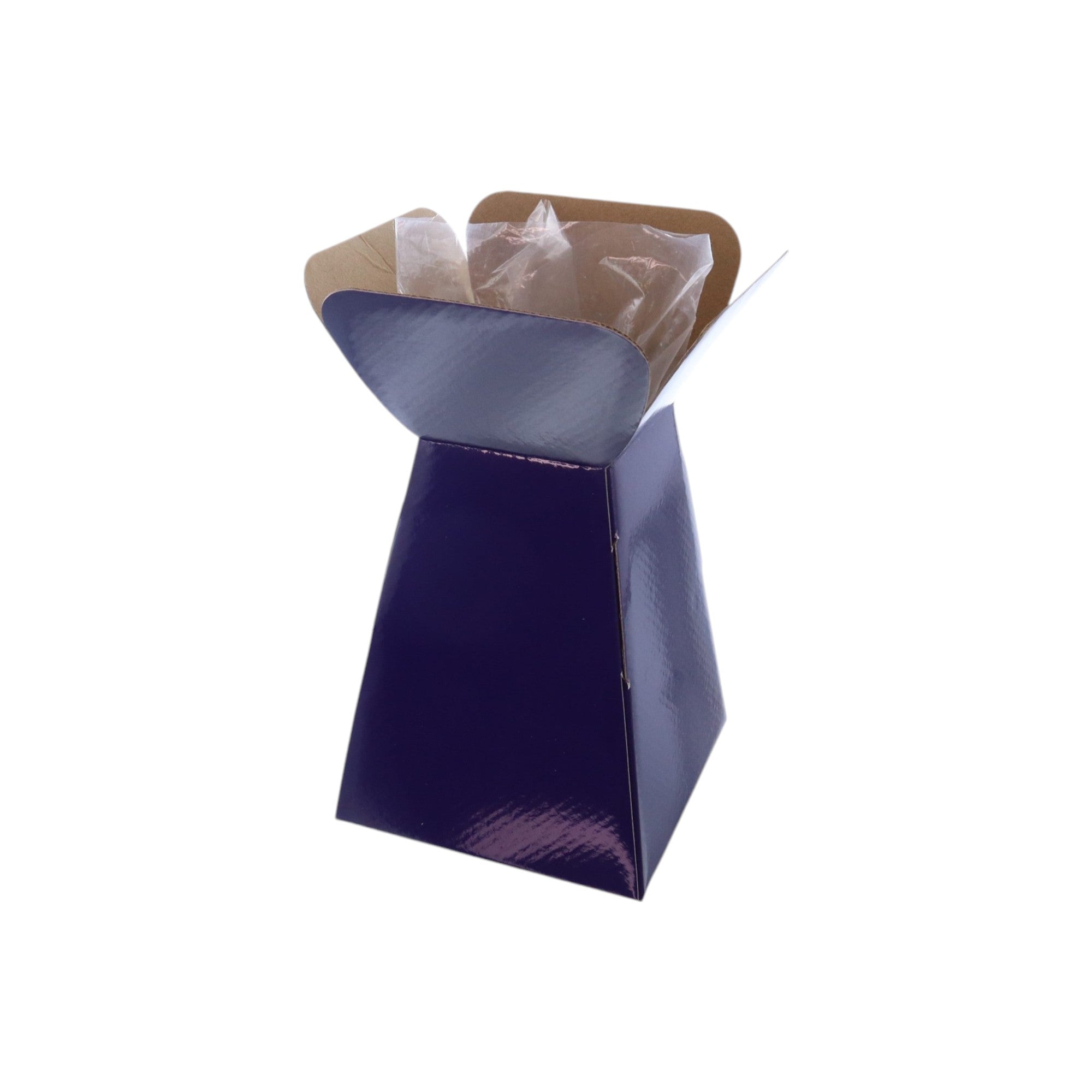Large Vase Box with Bag - Value Range - PackQueen