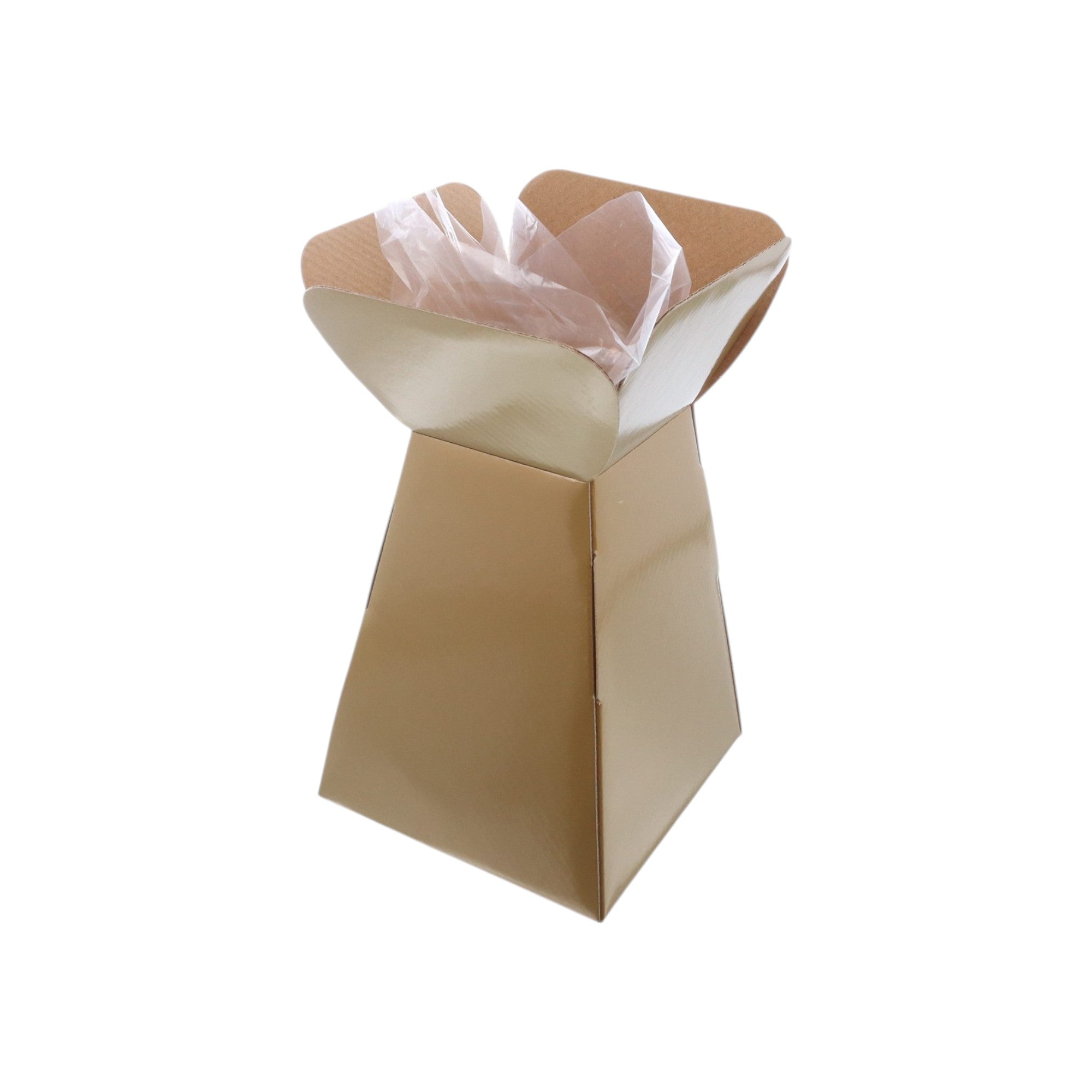 Large Vase Box with Bag - Value Range - PackQueen