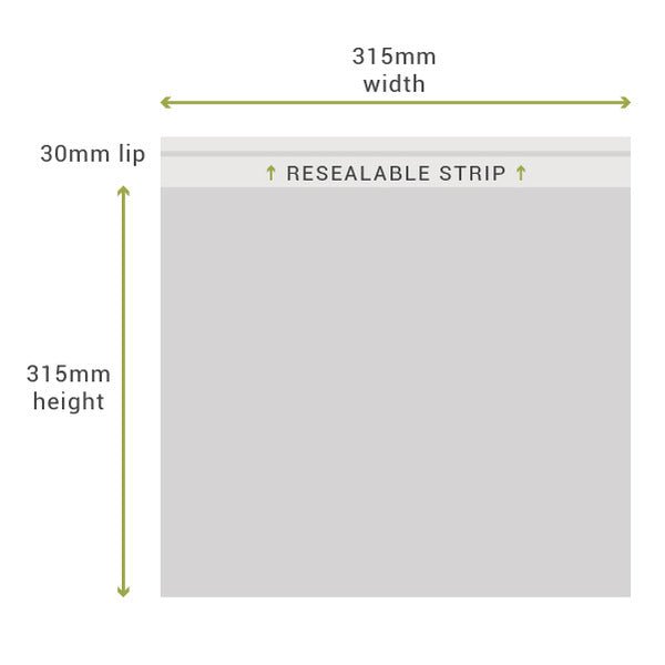 315m x 315mm + 30mm Lip Clear Resealable Bags (100PK) - PackQueen