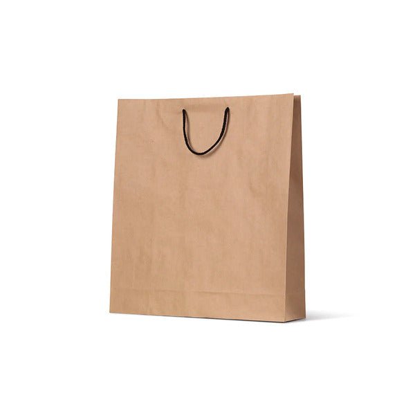 Large Deluxe Brown Kraft Paper Gift Bag - 250 PACK - PackQueen