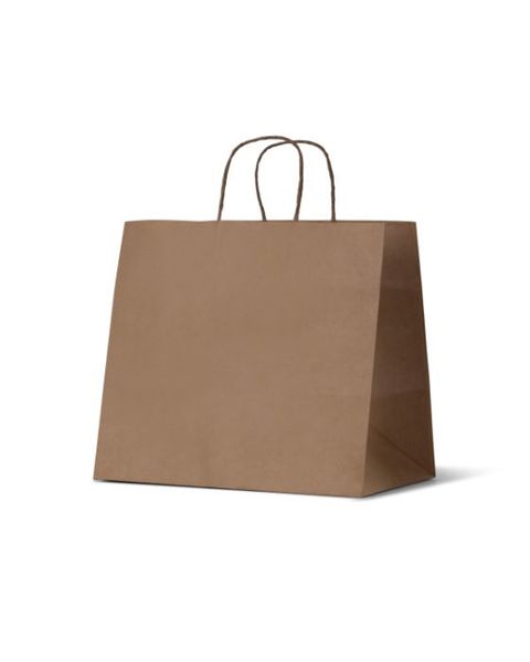 Large Takeaway Kraft Brown Paper Gift Bag - 100PK - PackQueen
