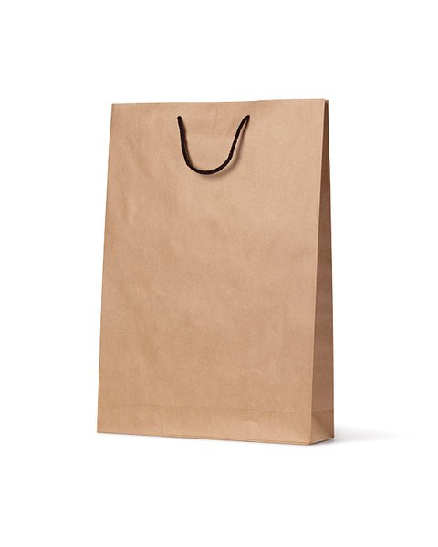 Medium Deluxe Brown Kraft Paper Gift Bag - 250 PACK - PackQueen