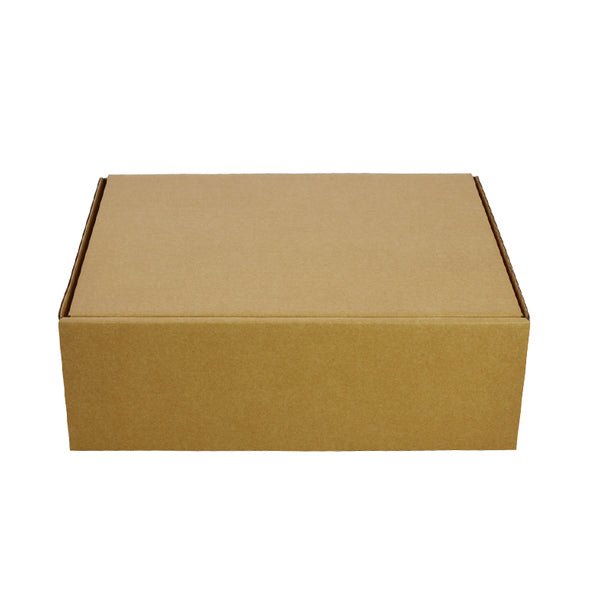 One Piece Postage & Mailing Box 6416 - PackQueen