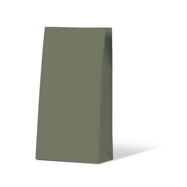 SAMPLE - Carnival Gift Bag Medium No Handles - Earth Green - PackQueen