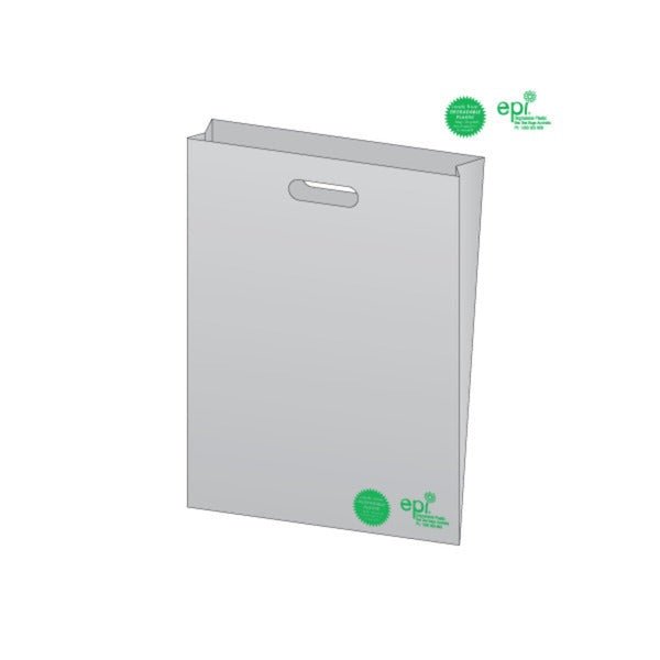 SAMPLE - Large Frosted Degradable Bag - PackQueen