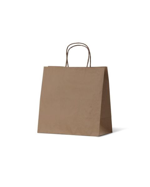 Small Takeaway Kraft Brown Paper Gift Bag - 250PK - PackQueen